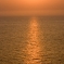 IMG_1167.jpg